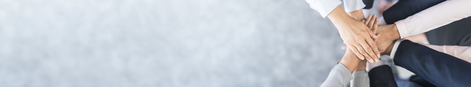 経営理念・MVV<br>(ミッション・ビジョン・バリュー)策定・浸透支援