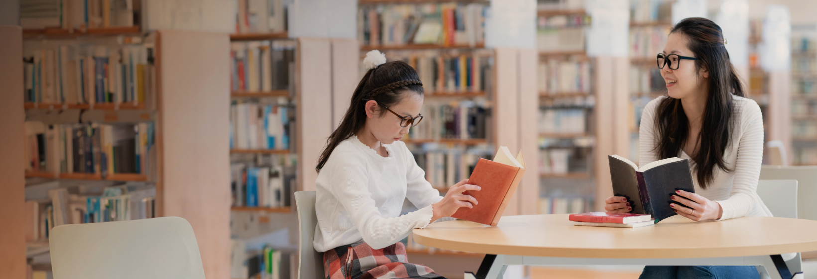 公共図書館システム「ELCIELO」 みんなのそばに図書館を