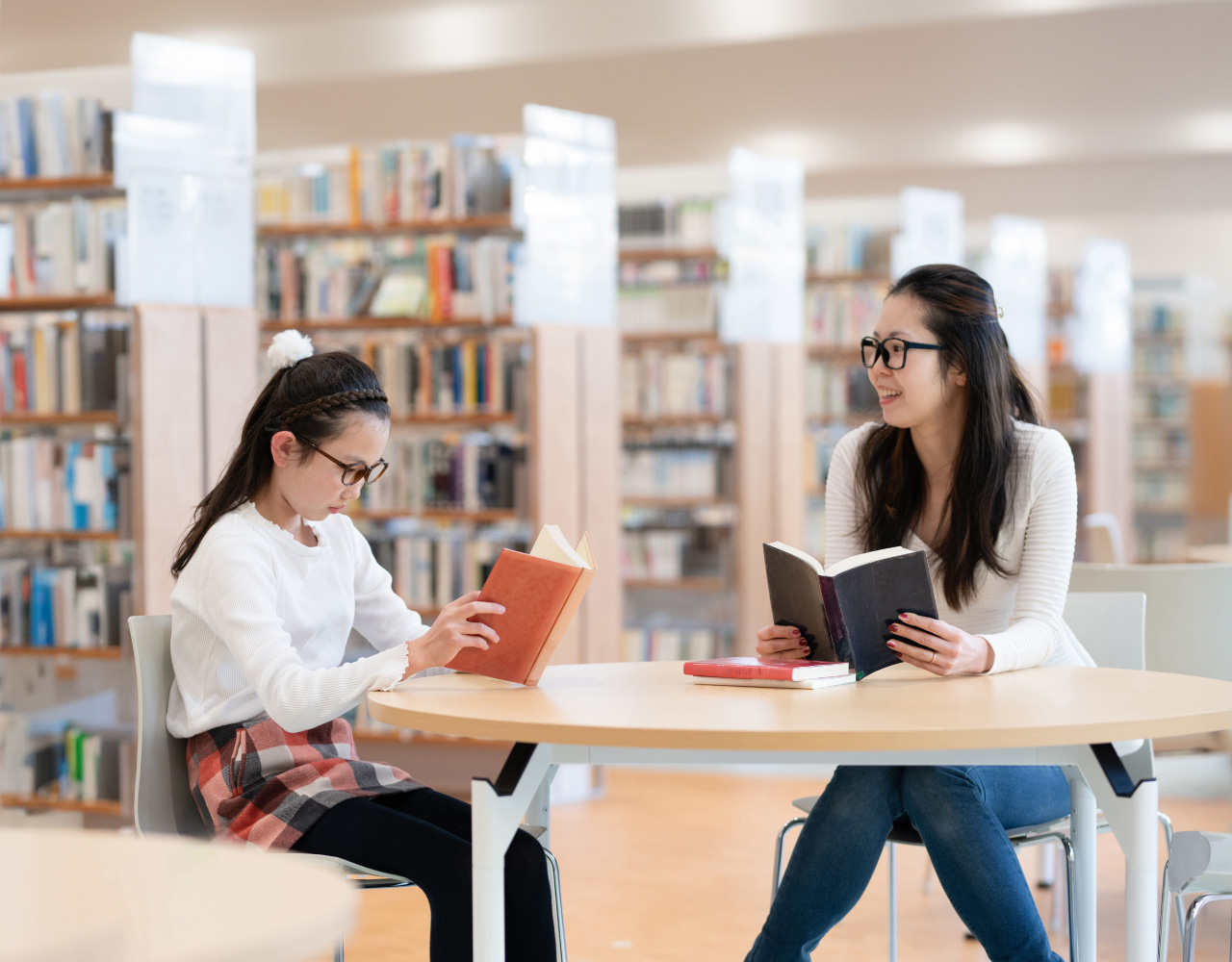公共図書館システム「ELCIELO」