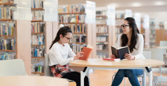 公共図書館システム「ELCIELO」